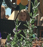 Screen Shot 2016-07-20 at 18.24.50